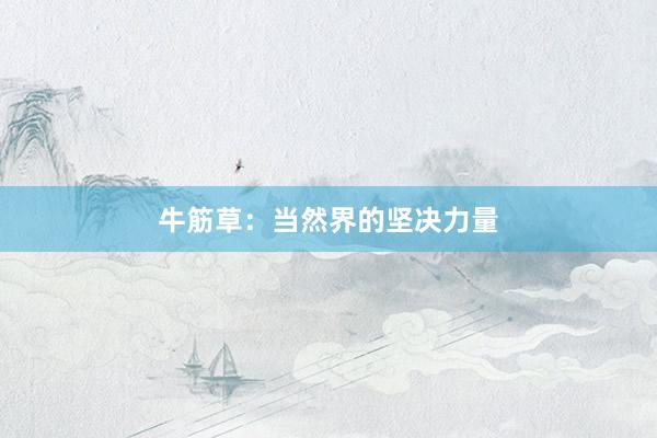 牛筋草：当然界的坚决力量