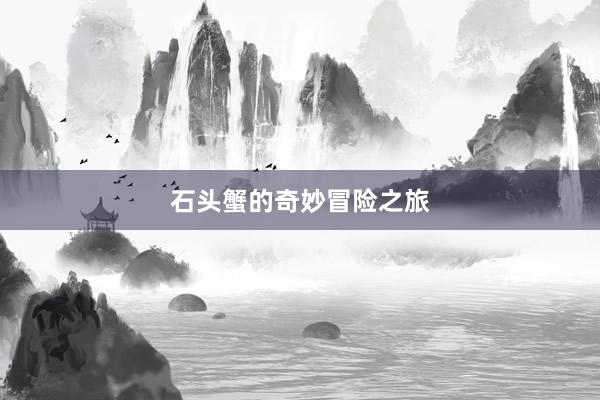 石头蟹的奇妙冒险之旅